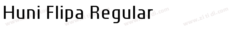Huni_Flipa Regular字体转换